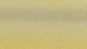 Los recientes sondeos de opinión no son nada favorables para Trump.