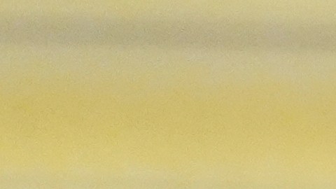 Los recientes sondeos de opinión no son nada favorables para Trump.