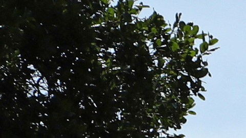 La UC no permite que los estudiantes indocumentados sean contratados para trabajos en el campus ni que accedan a oportunidades educativas remuneradas.