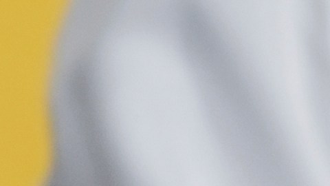 Con el vencimiento del TPS, los venezolanos que no lograron renovar o acceder a otro tipo de estatus pierden derechos fundamentales como trabajar legalmente.