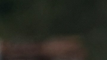 El arresto sucedió en medio de la Operación Charlotte’s Web, un operativo federal dirigido contra inmigrantes indocumentados en Carolina del Norte.