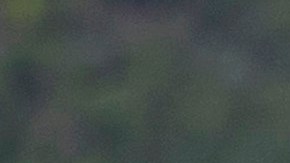 Investigan a cuatro policías de Zacatecas