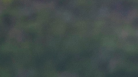 Investigan a cuatro policías de Zacatecas