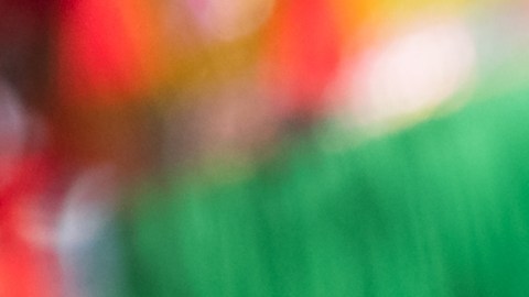 Cada signo chino representa una energía única.