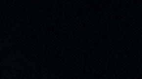 ¿Cuánto dinero podrías obtener por tus antiguas monedas de medio dólar de plata?