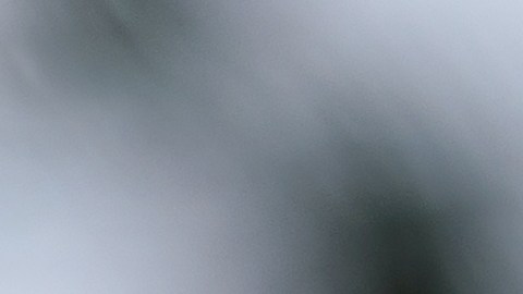 ¿Por qué la generación Z está abandonando las compras impulsivas según una encuesta reciente?