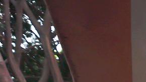 Remesas hacia México bajarán 5% en 2025 tras agresivas políticas migratorias de Trump