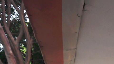 Remesas hacia México bajarán 5% en 2025 tras agresivas políticas migratorias de Trump