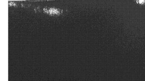 Algunas fotografías fueron reveladas por el Comité de Vigilancia de la Cámara de Representantes.