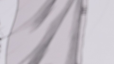 Sheinbaum confirma reuniones privadas con Trump y Carney previo al sorteo de la FIFA