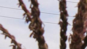 Protección Civil de Veracruz brindó atención a los lesionados.