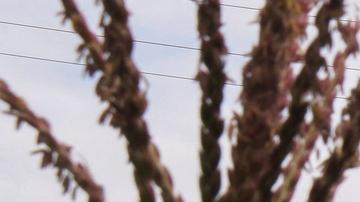 Protección Civil de Veracruz brindó atención a los lesionados.