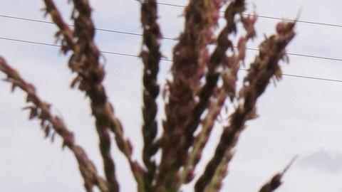 Protección Civil de Veracruz brindó atención a los lesionados.