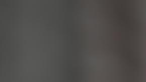 "Ponemos la IA más avanzada directamente en manos de toda una generación", expresó Musk.