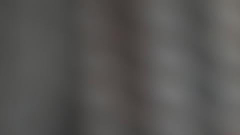 "Ponemos la IA más avanzada directamente en manos de toda una generación", expresó Musk.