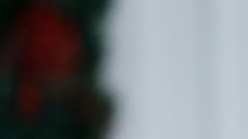 Maduro confirma plática "en tono de respeto" con Trump