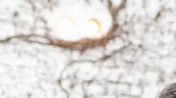 Zelenski llega a Berlín para negociar sobre un alto el fuego