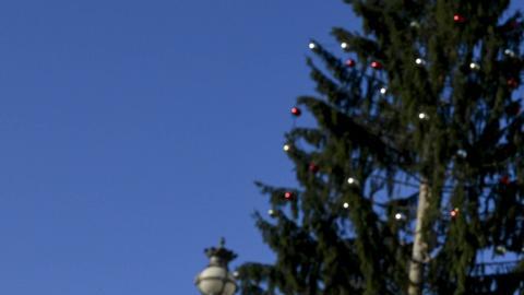 Advierte León XIV sobre los "Herodes" del mundo actual