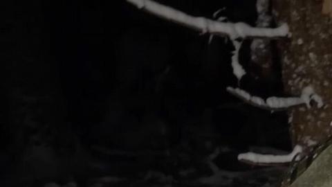 Video de dron derribado en supuesto ataque a casa de Putin