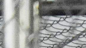 AI denuncia 'tortura y desapariciones’ en Alligator Alcatraz y Krome North, en Florida