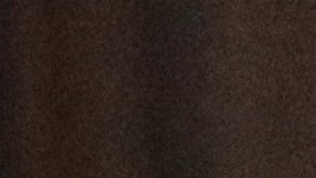 Joseline Peña-Melnyk se apoyará en su experiencia para enfrentar los desafíos.