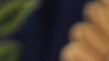 "Un padrón electoral preciso es fundamental para unas elecciones justas y libres".