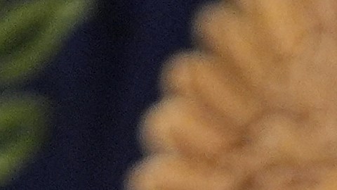 "Un padrón electoral preciso es fundamental para unas elecciones justas y libres".