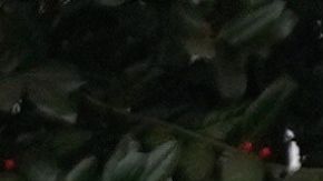 La orden también obliga a la administración a detener las notificaciones de despido programadas en los Departamentos de Educación y el Departamento de Estado.