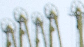 Venezuela denuncia un ciberataque en medio de "estrategia" de EEUU para hacerse con su petróleo