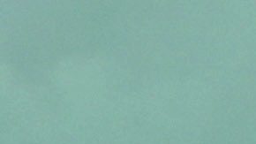 Aficionados y futbolistas protagonizaron la trifulca en el Estadio del Trébol.