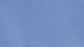 La Corte Suprema decidirá sobre la ciudadanía de EE.UU. por nacimiento.