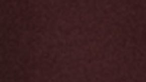 Coach Abel Braga of Internacional gives instructions to his players during the Brazilian championship soccer match against Corinthians at the Beira-Rio stadium in Porto Alegre, Brazil, Thursday, Feb. 25, 2021. (AP Photo/Liamara Polli)