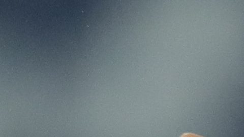 Alejandro Gómez en un partido de la selección de Argentina.