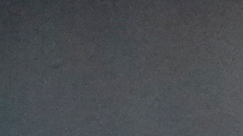 Arzobispo de Miami pide frenar redadas y deportaciones en Navidad; "no sean el Grinch", señala