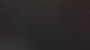 Rodgers viene de dirigir en el Celtic.