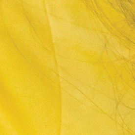 Diversas organizaciones civiles han luchado por la protección permanente de los 'Dreamers'.