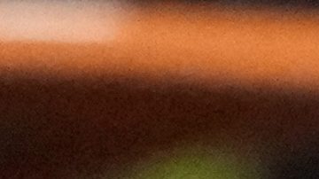 South Africa's head coach Hugo Broos gestures during the African Cup of Nations round of 16 soccer match between Morocco and South Africa, at the Laurent Pokou stadium in San Pédro, Ivory Coast, Tuesday, Jan. 30, 2024. (AP Photo/Sunday Alamba)