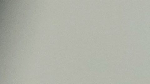 Daniel Mosquera ha tenido poca participación con el Hellas Verona.