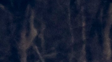 los siniestros ocurridos este año —algunos de ellos de una magnitud no vista en décadas— dejaron una estela de luto, investigaciones abiertas y preguntas sin resolver.