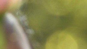 Jeanette Vizguerra fue detenida por ICE en marzo pasado.