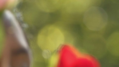 Jeanette Vizguerra fue detenida por ICE en marzo pasado.