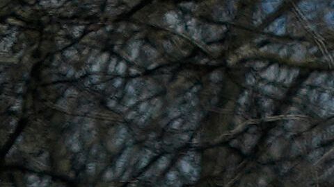 Las autoridades descartan, por ahora, un hecho criminal y apuntan a materiales inflamables almacenados en el vehículo.