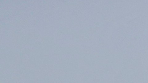 Metayer cursaba su último año de secundaria cuando el atacante Nikolas Cruz abrió fuego dentro del plantel.