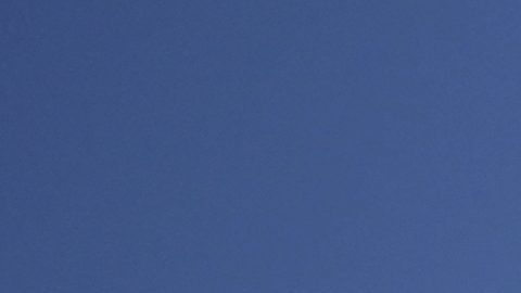 White jersey winner Isaac Del Toro, from Mexico, celebrates at the end of the Giro d'Italia cycling race, in Rome, Sunday, June 1, 2025. (AP Photo/Alessandra Tarantino)