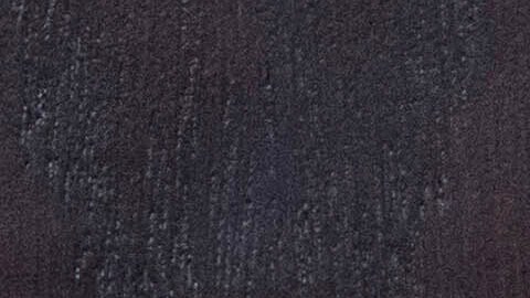 Juez anula la terminación del estatus de protección de Trump para Nicaragua, Honduras y Nepal