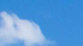 Organizaciones civiles y legisladores criticaron la medida, calificándola de un retroceso en el reconocimiento histórico de la lucha por los derechos civiles en Estados Unidos.