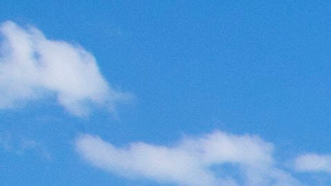 Organizaciones civiles y legisladores criticaron la medida, calificándola de un retroceso en el reconocimiento histórico de la lucha por los derechos civiles en Estados Unidos.