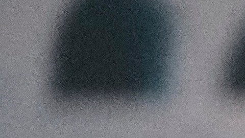 Trump provoca “vacío diplomático peligroso” al cesar a 30 embajadores de carrera: Demócratas