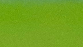 AC Milan's Santiago Gimenez is on the ground during a Serie A soccer match between AC Milan and Bologna at San Siro stadium in Milan, Italy, Sunday, Sept. 14, 2025. (AP Photo/Luca Bruno)