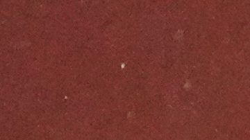 South Korea's head coach Hong Myung-bo reacts during the international friendly soccer match between South Korea and Brazil at Seoul World Cup Stadium in Seoul, South Korea, Friday, Oct. 10, 2025. (AP Photo/Lee Jin-man)